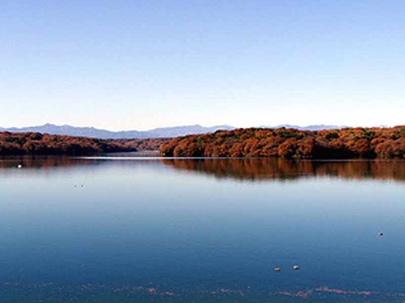 🏞️ 사야마 호수(사야마코) 이미지 5